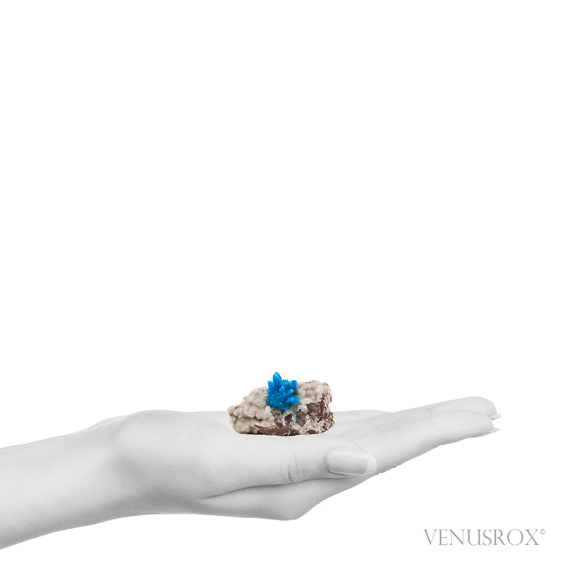 Pentagonite on Matrix Natural Cluster from the Pune District, Maharashtra, India | Venusrox