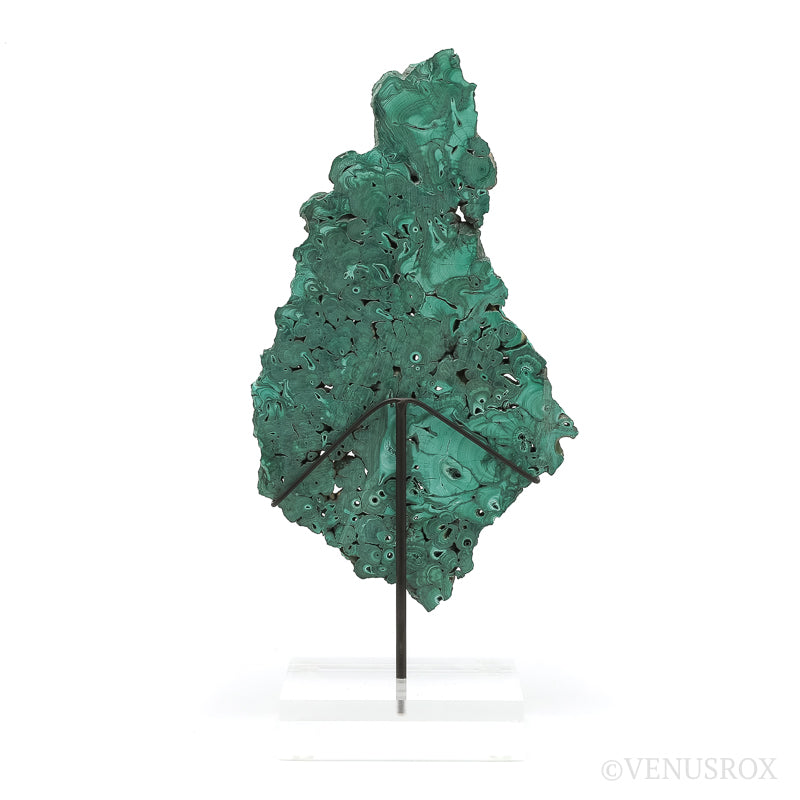 Malachite Slice from the Democratic Republic of the Congo | Venusrox