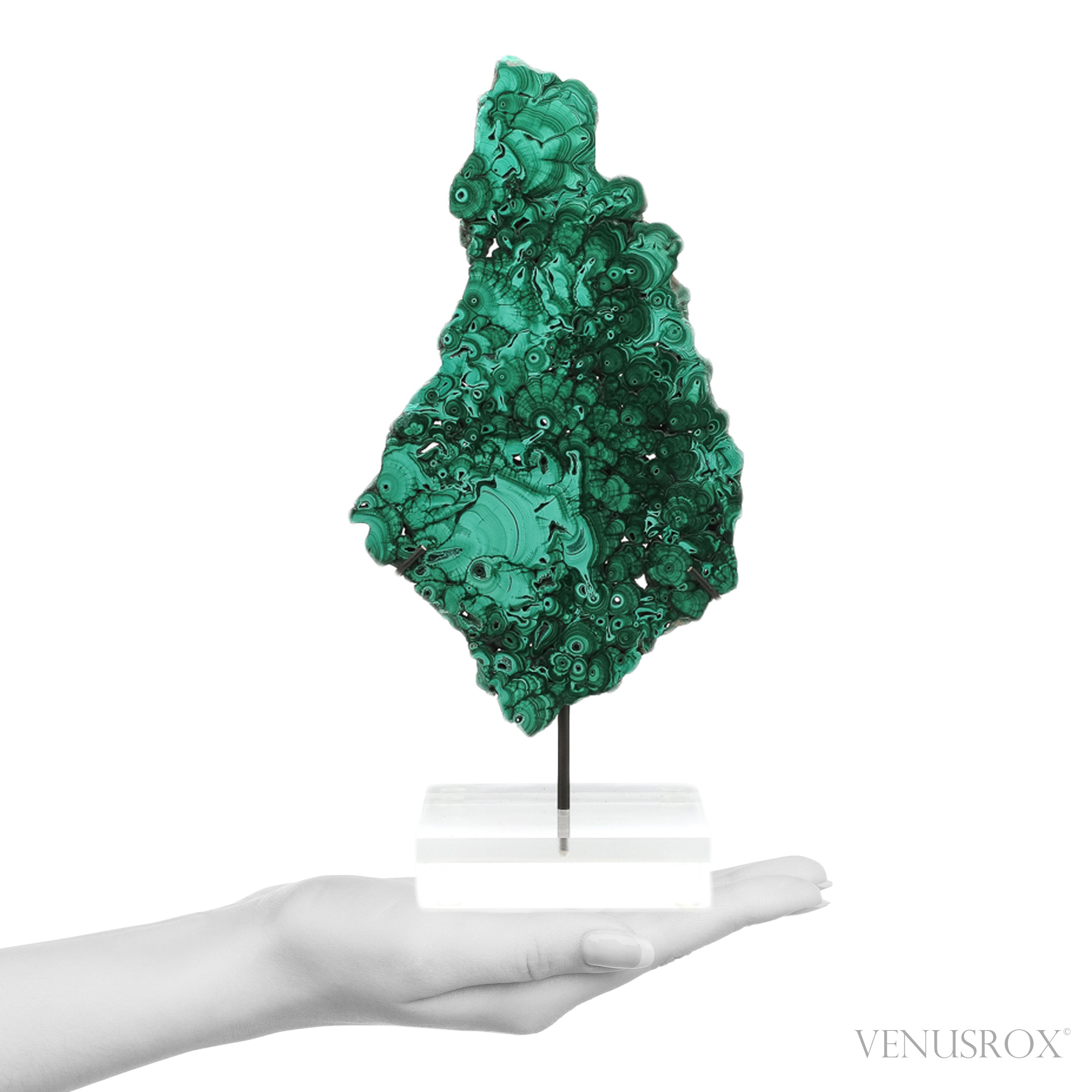 Malachite Slice from the Democratic Republic of the Congo | Venusrox