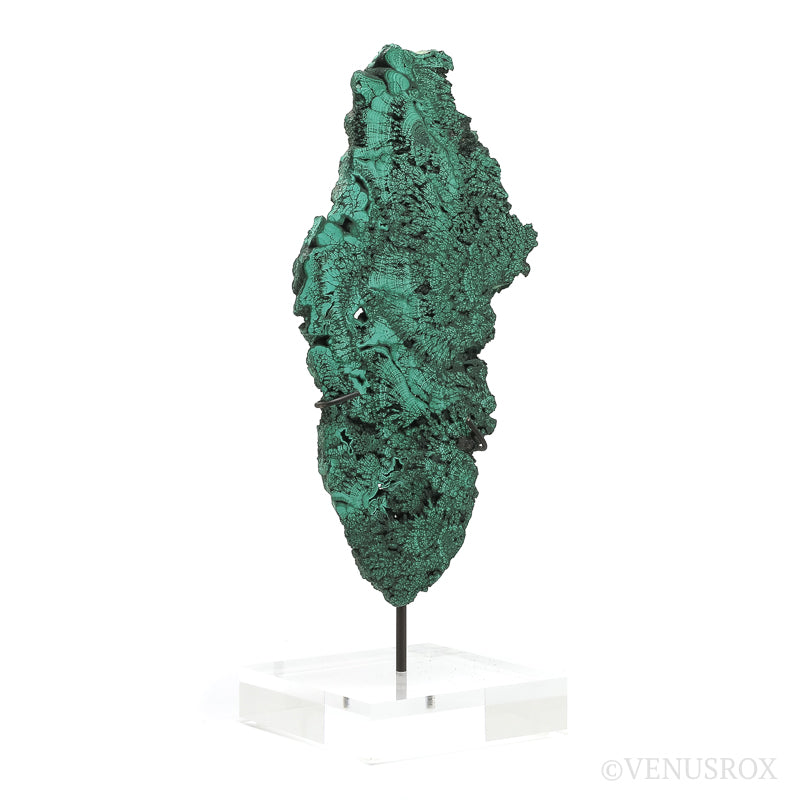 Malachite Slice from the Democratic Republic of the Congo | Venusrox