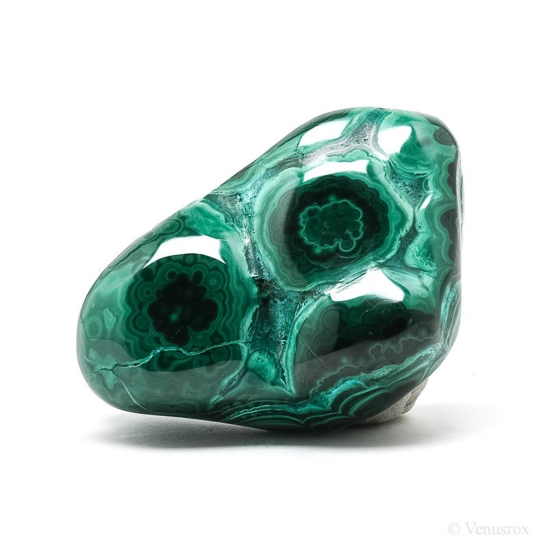 Malachite with Chrysocolla Polished Crystal from the Democratic Republic of Congo | Venusrox