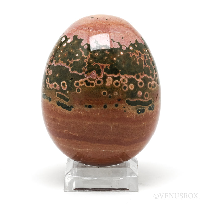 Ocean Jasper Polished Egg from Madagascar | Venusrox