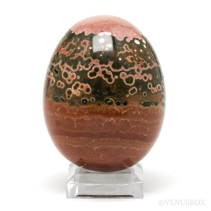 Ocean Jasper Polished Egg from Madagascar | Venusrox