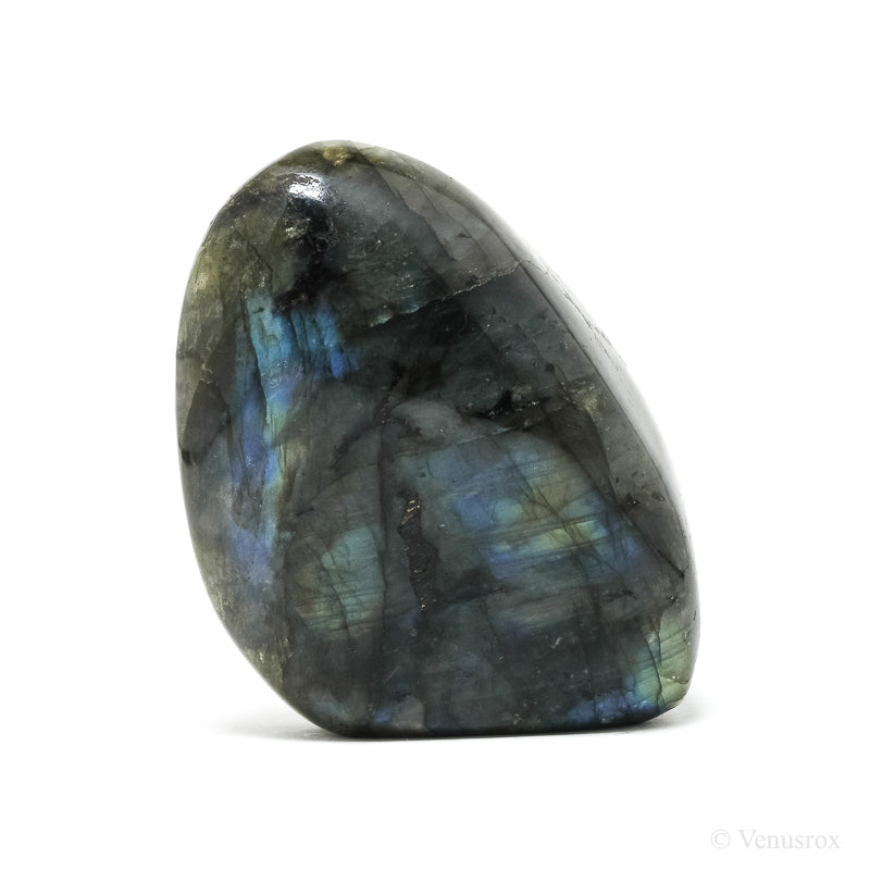Labradorite Polished Freeform from Madagascar | Venusrox