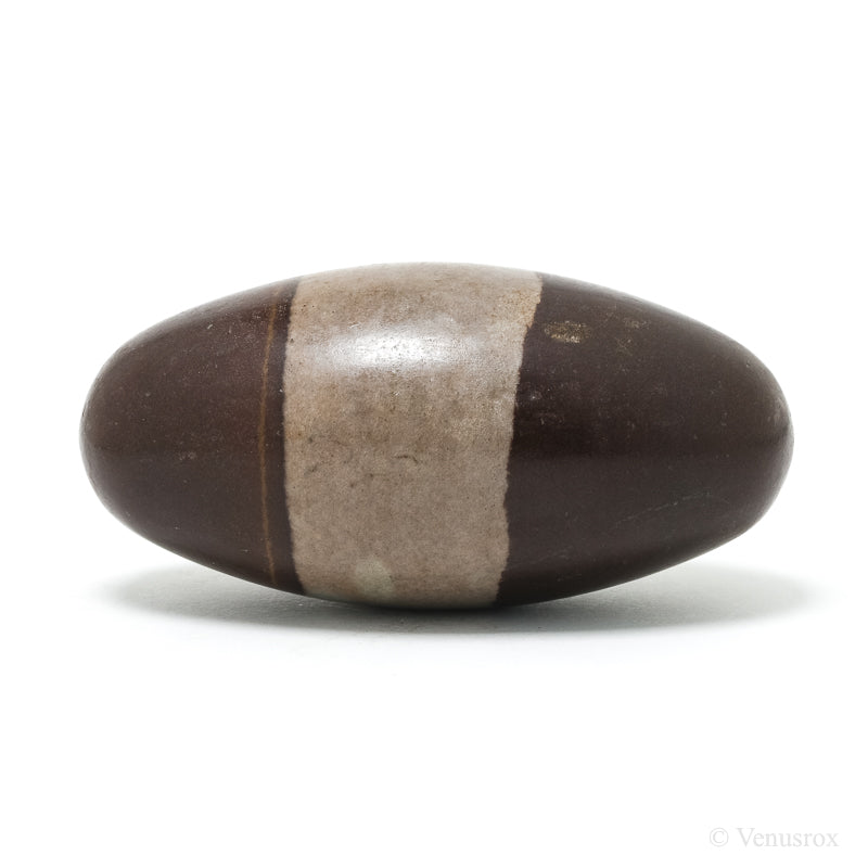 Shiva Lingam from the Narmada River, Madhya Pradesh, India | Venusrox