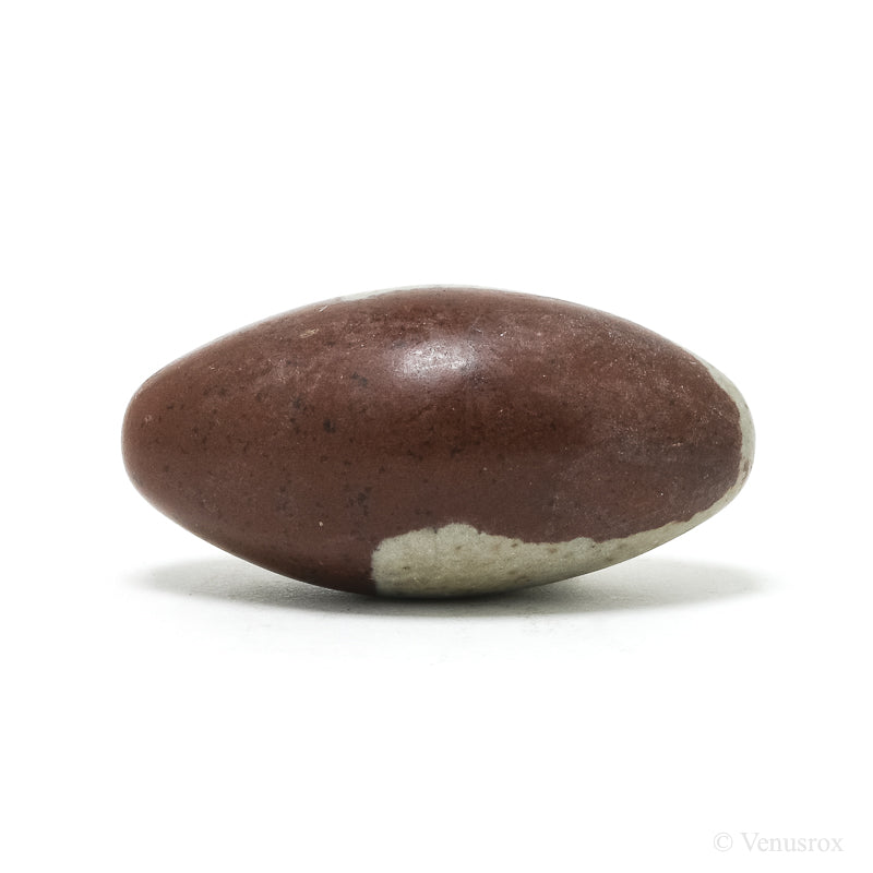 Shiva Lingam from the Narmada River, Madhya Pradesh, India | Venusrox