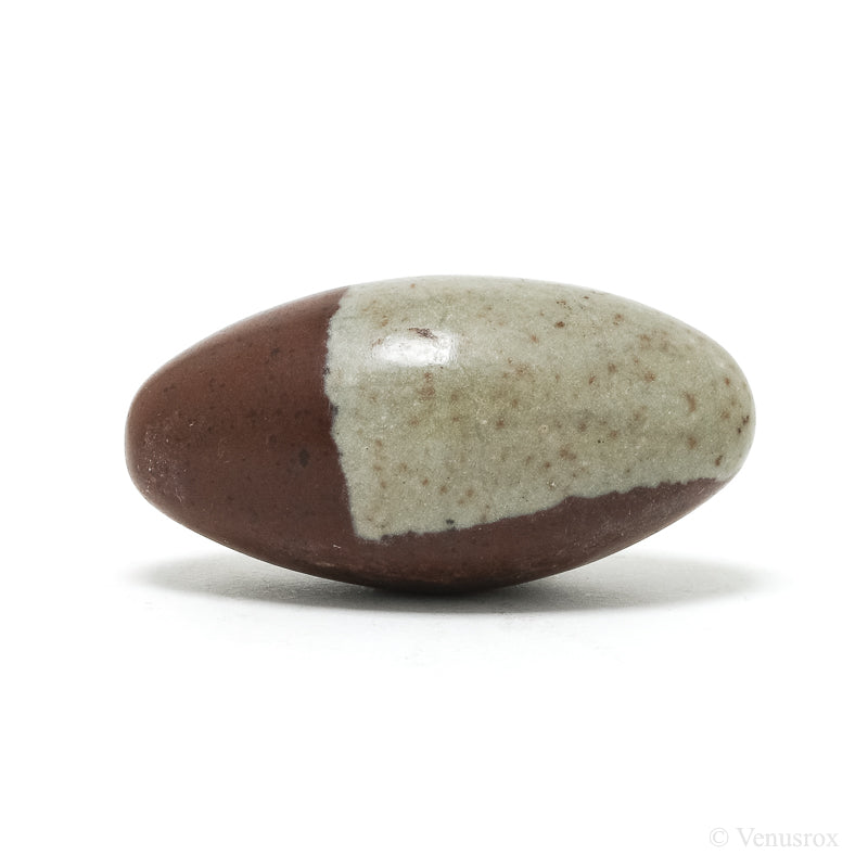 Shiva Lingam from the Narmada River, Madhya Pradesh, India | Venusrox