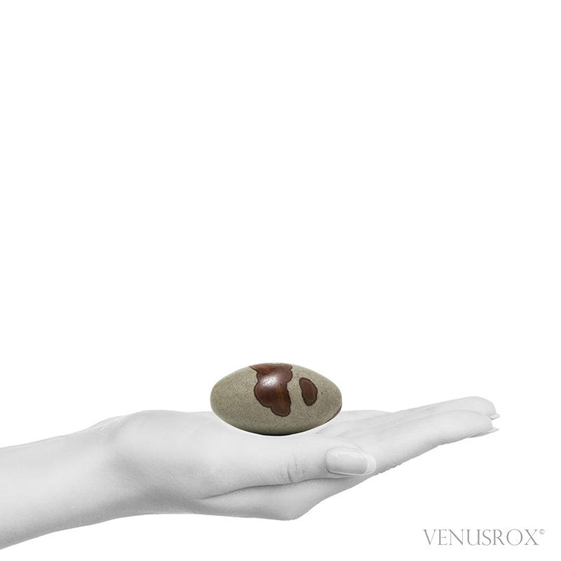 Shiva Lingam from the Narmada River, Madhya Pradesh, India | Venusrox