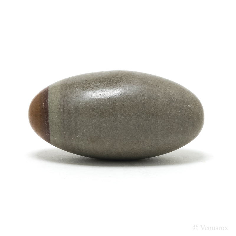 Shiva Lingam from the Narmada River, Madhya Pradesh, India | Venusrox