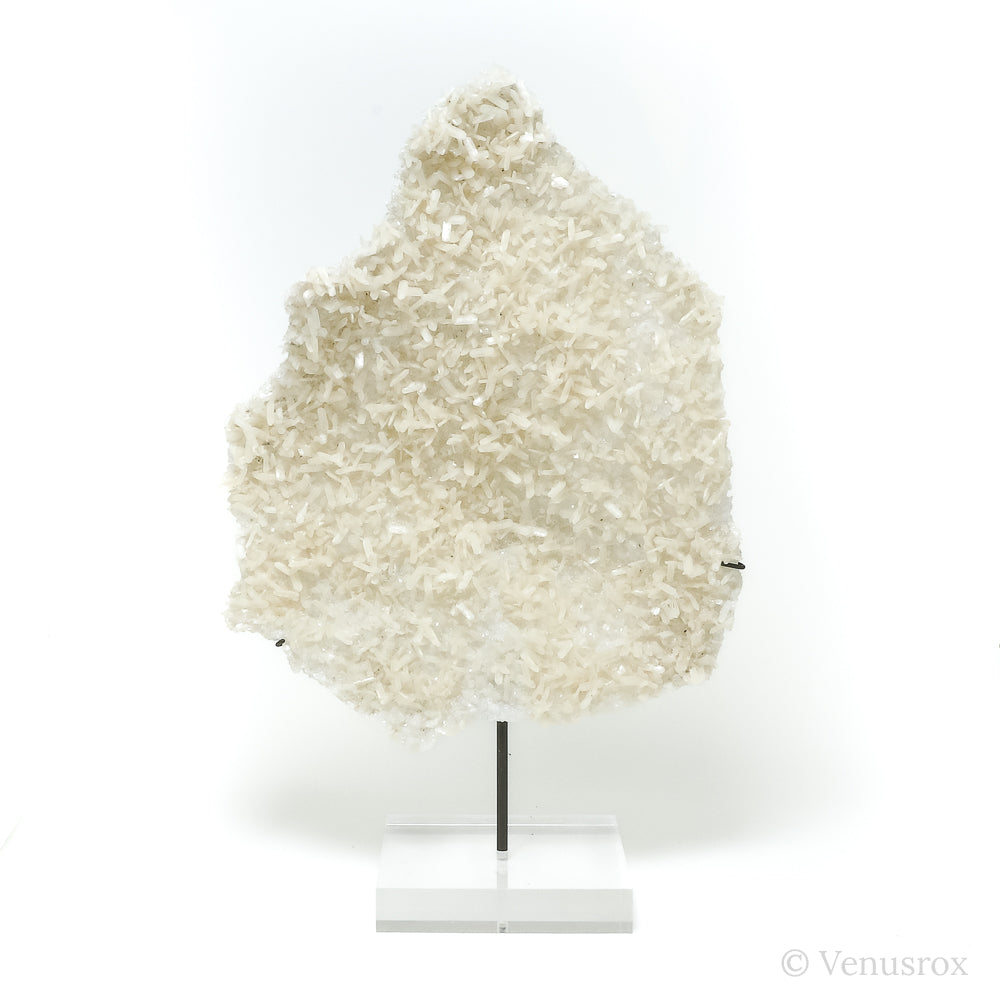 Stilbite on micro-Apophyllite Natural Cluster from Maharashtra, India mounted on a bespoke stand | Venusrox