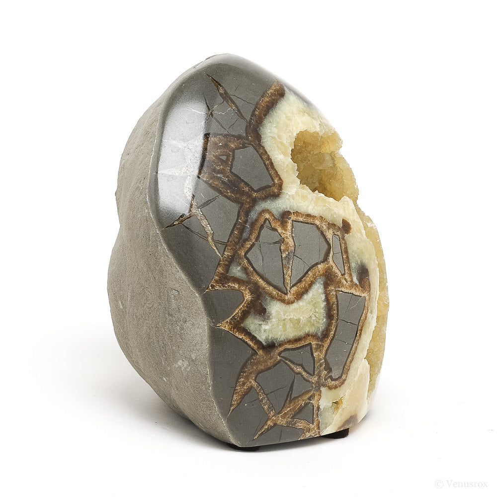 Septarian Geode Part Polished/Part Natural Slice from Utah, USA | Venusrox