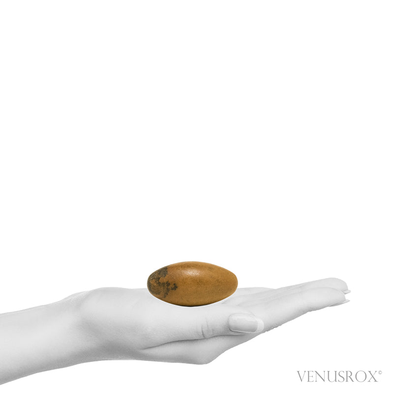 Shiva Lingam from the Narmada River, Madhya Pradesh, India | Venusrox