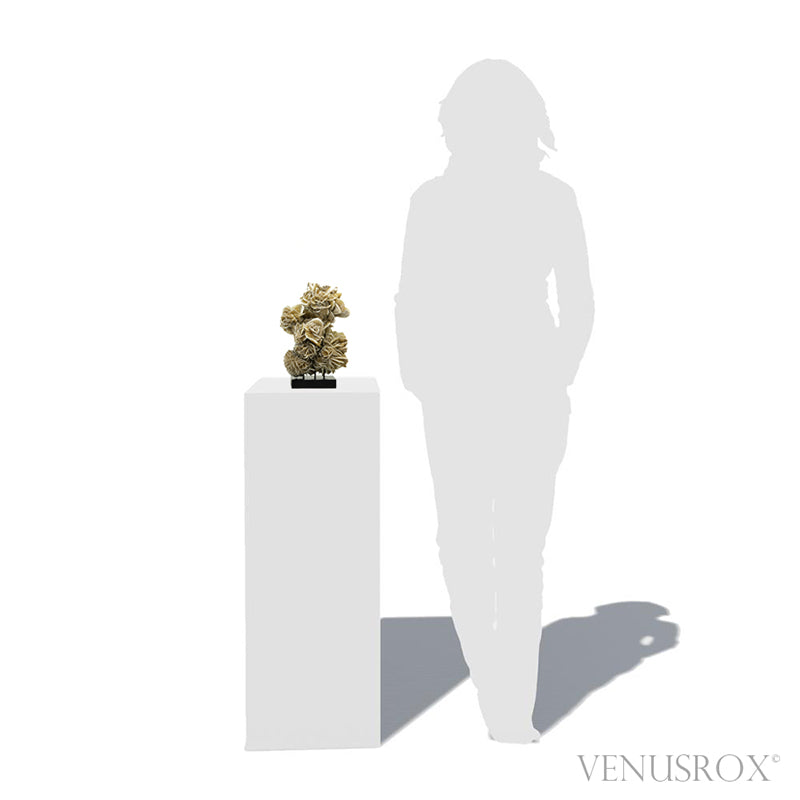 Desert Rose Natural Cluster from Mexico mounted on a stand | Venusrox