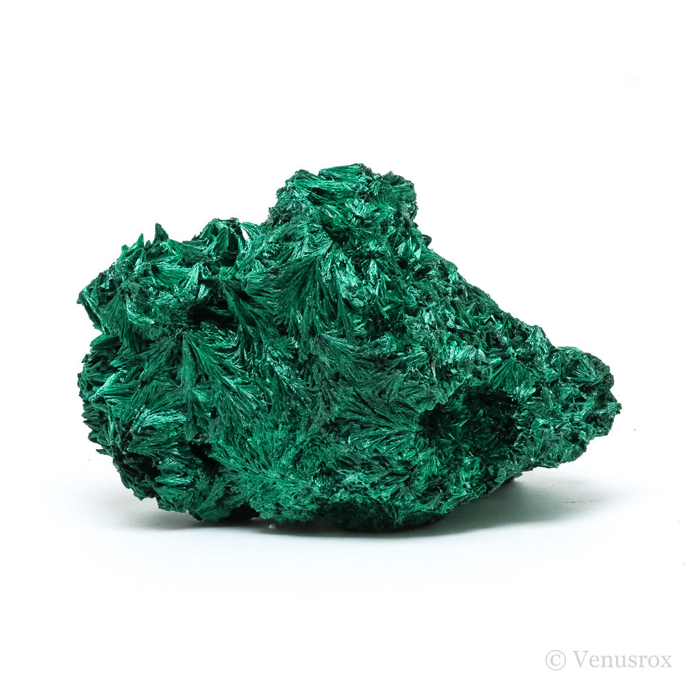 Fibrous Malachite Natural Crystal from the Luishia Mine, Katanga Province, Democratic Republic of Congo | Venusrox