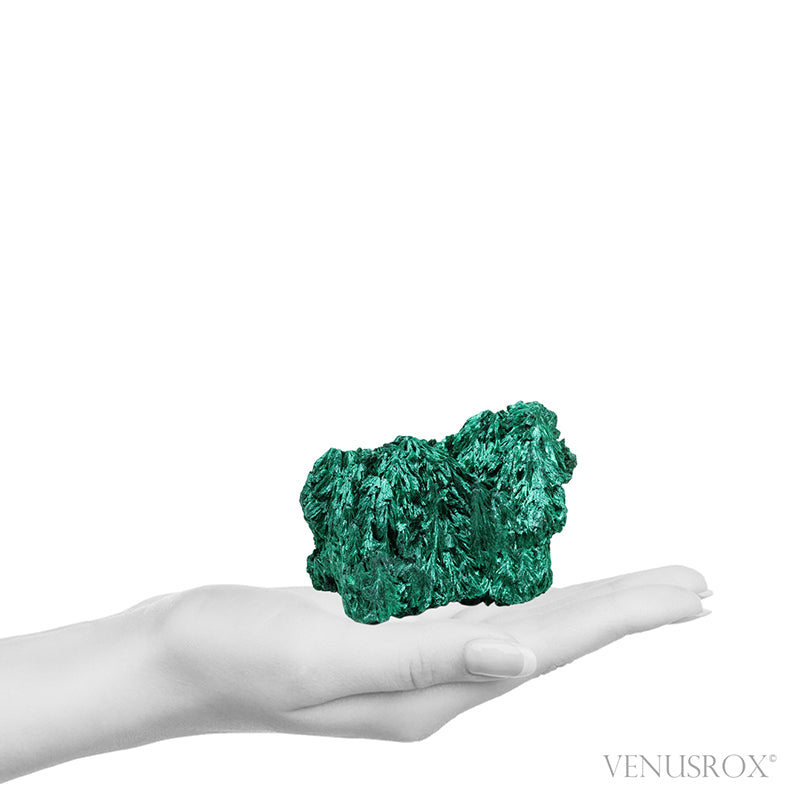 Fibrous Malachite Natural Crystal from the Luishia Mine, Katanga Province, Democratic Republic of Congo | Venusrox
