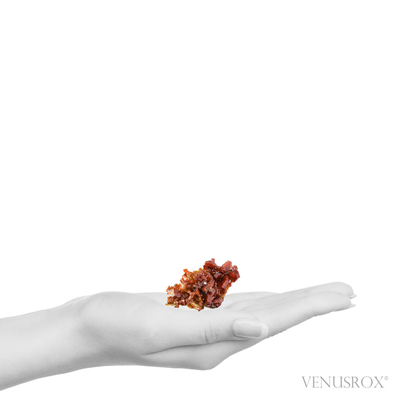 Vanadinite on Barite Natural Specimen from Mibladen, Midelt, Meknes-Tafilalet Region, Morocco | Venusrox