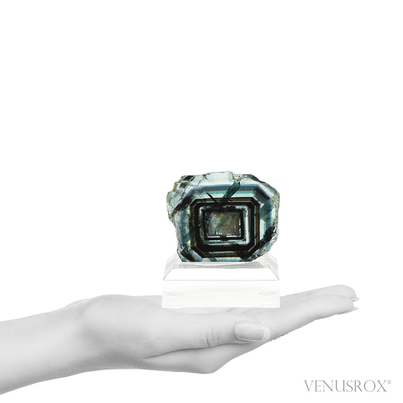 Fluorite Polished/Natural Slice from Namibia, mounted on a bespoke stand | Venusrox