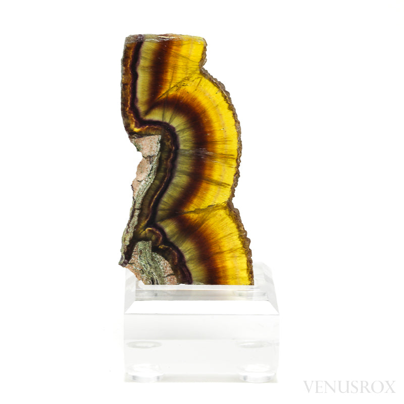 Fluorite Polished/Natural Slice from Namibia, mounted on a bespoke stand | Venusrox