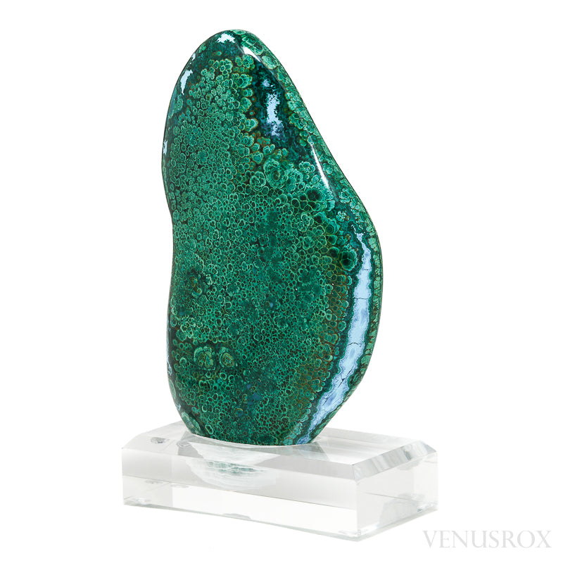 Malachite with Chrysocolla Polished Crystal from the Bagdad Mine, Arizona, USA, mounted on bespoke stand | Venusrox