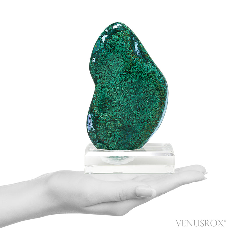 Malachite with Chrysocolla Polished Crystal from the Bagdad Mine, Arizona, USA, mounted on bespoke stand | Venusrox