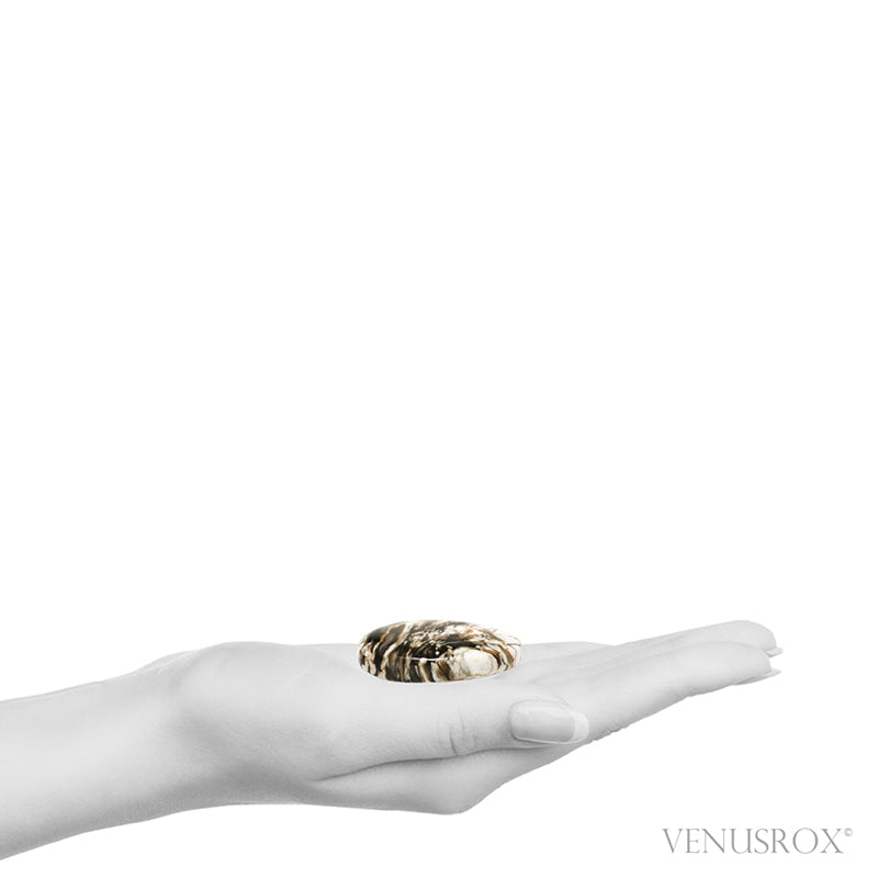 Peanut Wood Polished Crystal from Australia | Venusrox