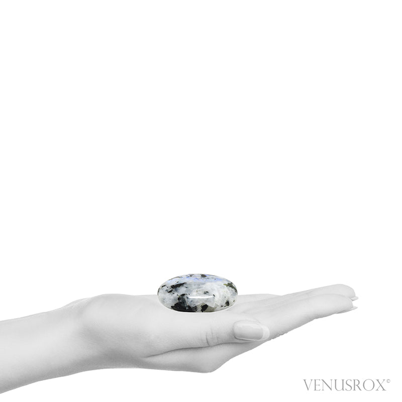 Rainbow Moonstone with Black Tourmaline Polished Crystal from India | Venusrox