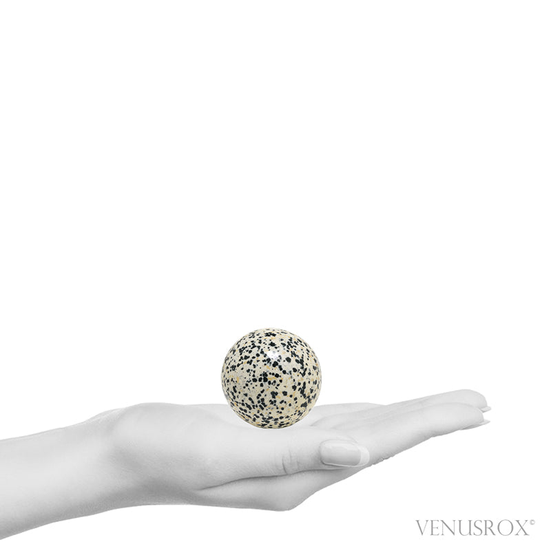 Dalmatian Jasper Polished Sphere from Mexico | Venusrox