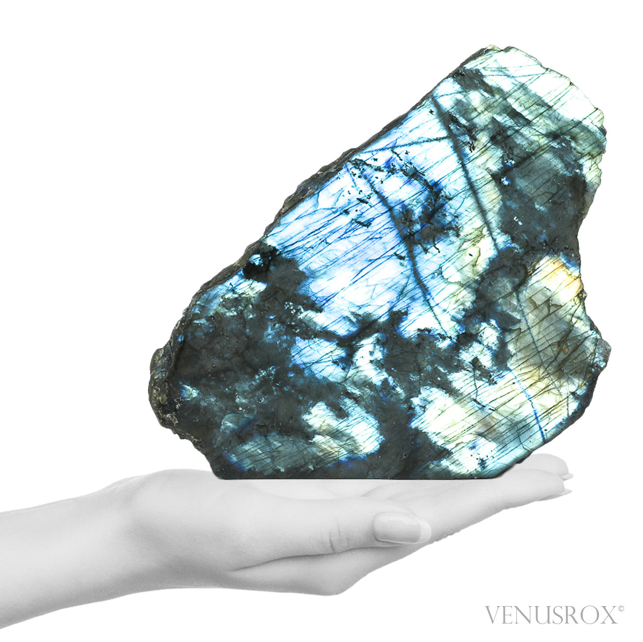 Labradorite Polished/Natural Freeform from Madagascar | Venusrox