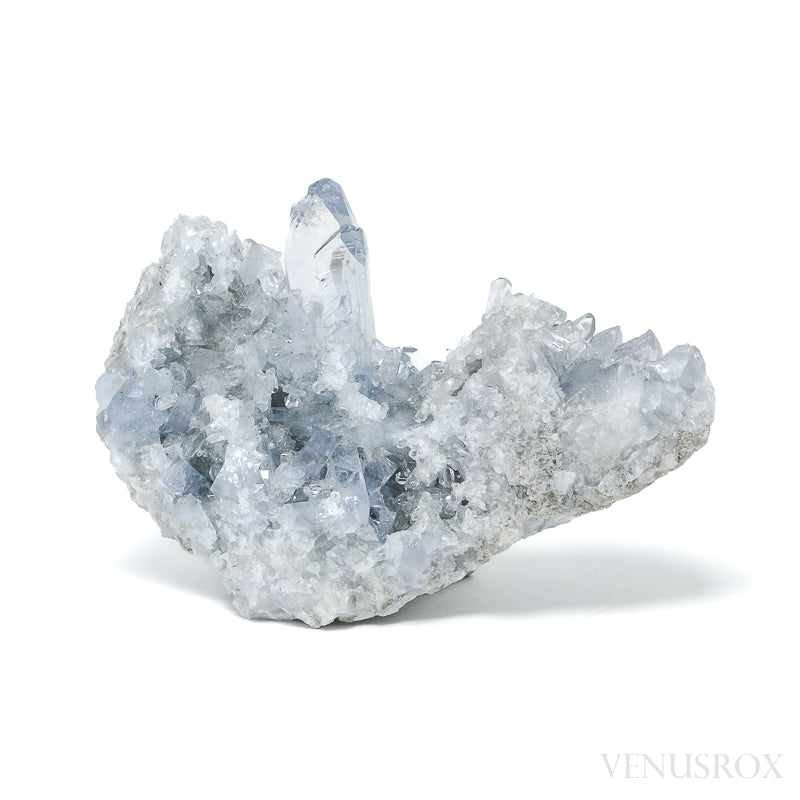 Blue Celestite Natural Cluster from Madagascar | Venusrox