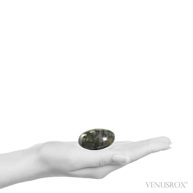 Labradorite Polished Crystal from Madagascar | Venusrox