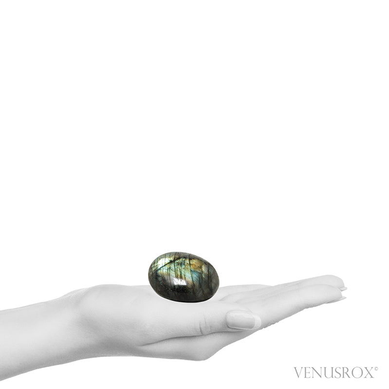 Labradorite Polished Crystal from Madagascar | Venusrox