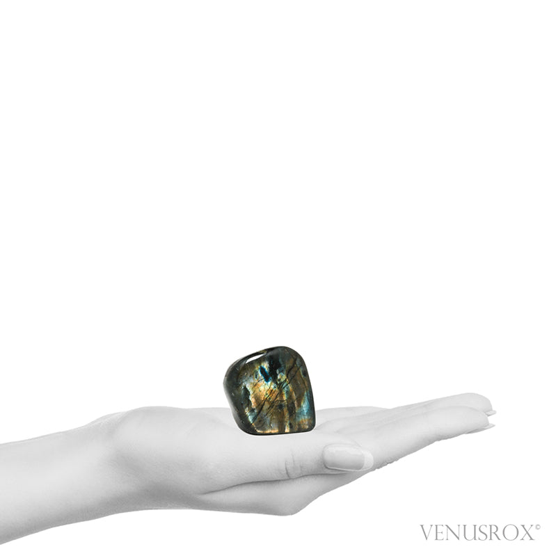 Labradorite Polished Freeform from Madagascar | Venusrox