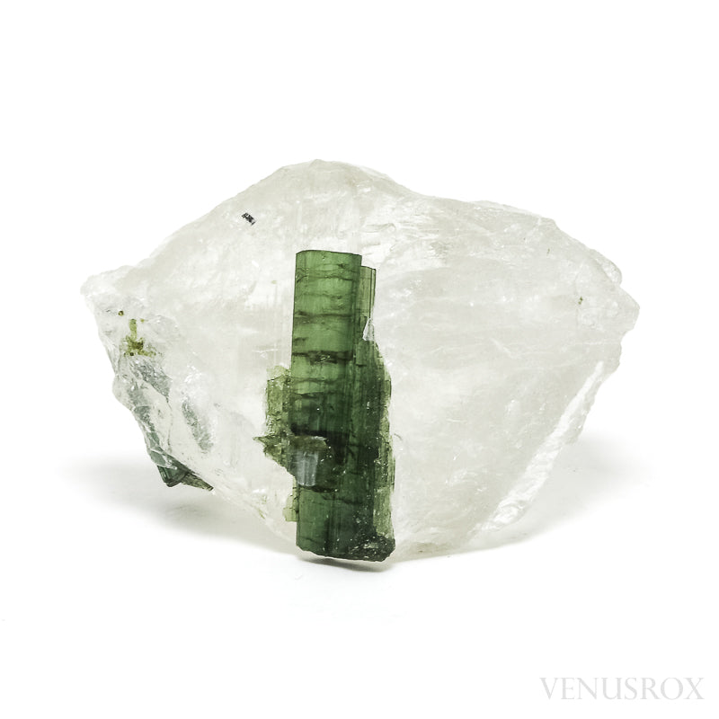 Clear Quartz with Green Tourmaline Natural Crystal from Brazil | Venusrox