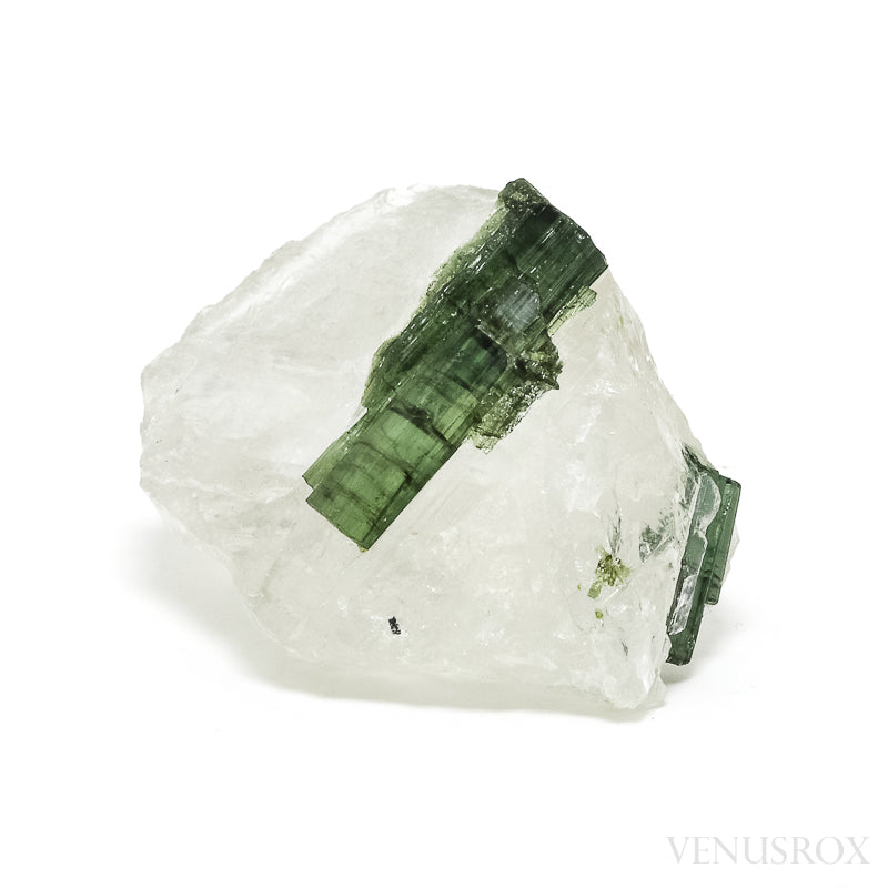 Clear Quartz with Green Tourmaline Natural Crystal from Brazil | Venusrox