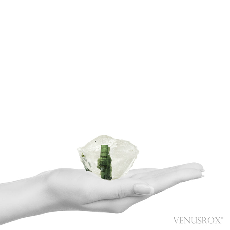 Clear Quartz with Green Tourmaline Natural Crystal from Brazil | Venusrox