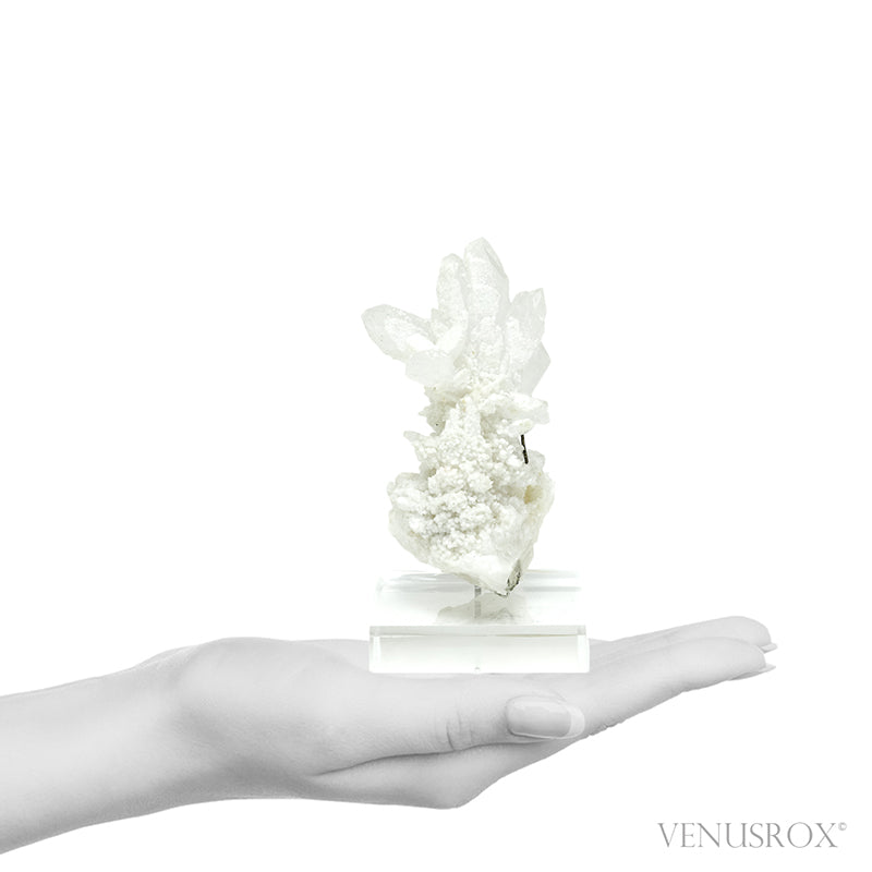 Clear Quartz with Dolomite & Pyrite Natural Cluster from the Trepča Mining Complex, Trepča Valley, Kosovska Mitrovica, Kosovska Mitrovica District, Kosovo mounted on a bespoke stand | Venusrox