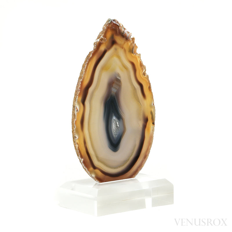 Agate Polished Slice from Brazil, mounted on a bespoke stand | Venusrox