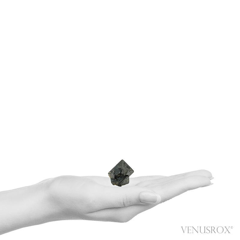 Magnetite Natural Crystal from Jebel Bou-Agrao, Amersid, Aït Oufella Caïdat, Midelt Cercle, Midelt Province, Drâa-Tafilalet Region, Morocco | Venusrox