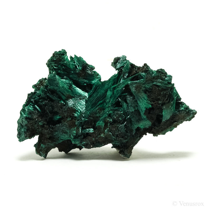 Fibrous Malachite Natural Crystal from the Luishia Mine, Katanga Province, Democratic Republic of Congo | Venusrox