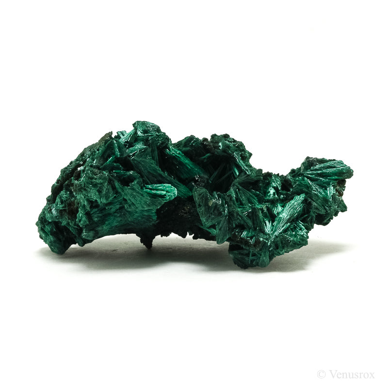 Fibrous Malachite Natural Crystal from the Luishia Mine, Katanga Province, Democratic Republic of Congo | Venusrox