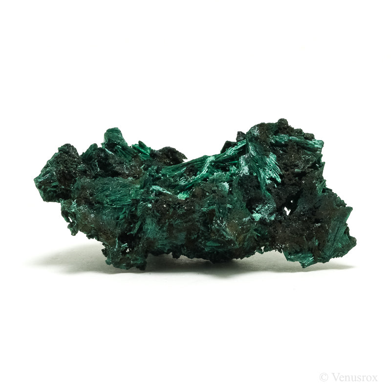 Fibrous Malachite Natural Crystal from the Luishia Mine, Katanga Province, Democratic Republic of Congo | Venusrox