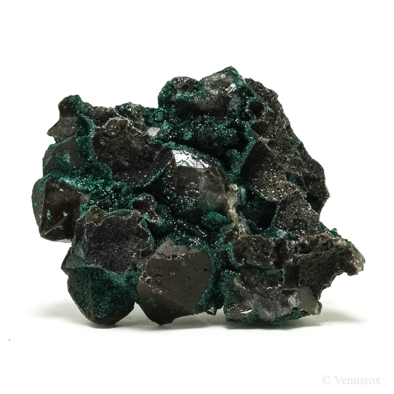 Dioptase with Quartz on Matrix Natural Crystal from Renéville, Kindanba District, Pool Department, Demacratic Republic of the Congo | Venusrox