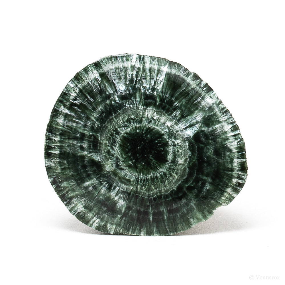 Seraphinite Polished/Natural Crystal from the Korshunovskoye Iron Scary Deposit, Irkutskaya Oblast, Siberia, Russia | Venusrox