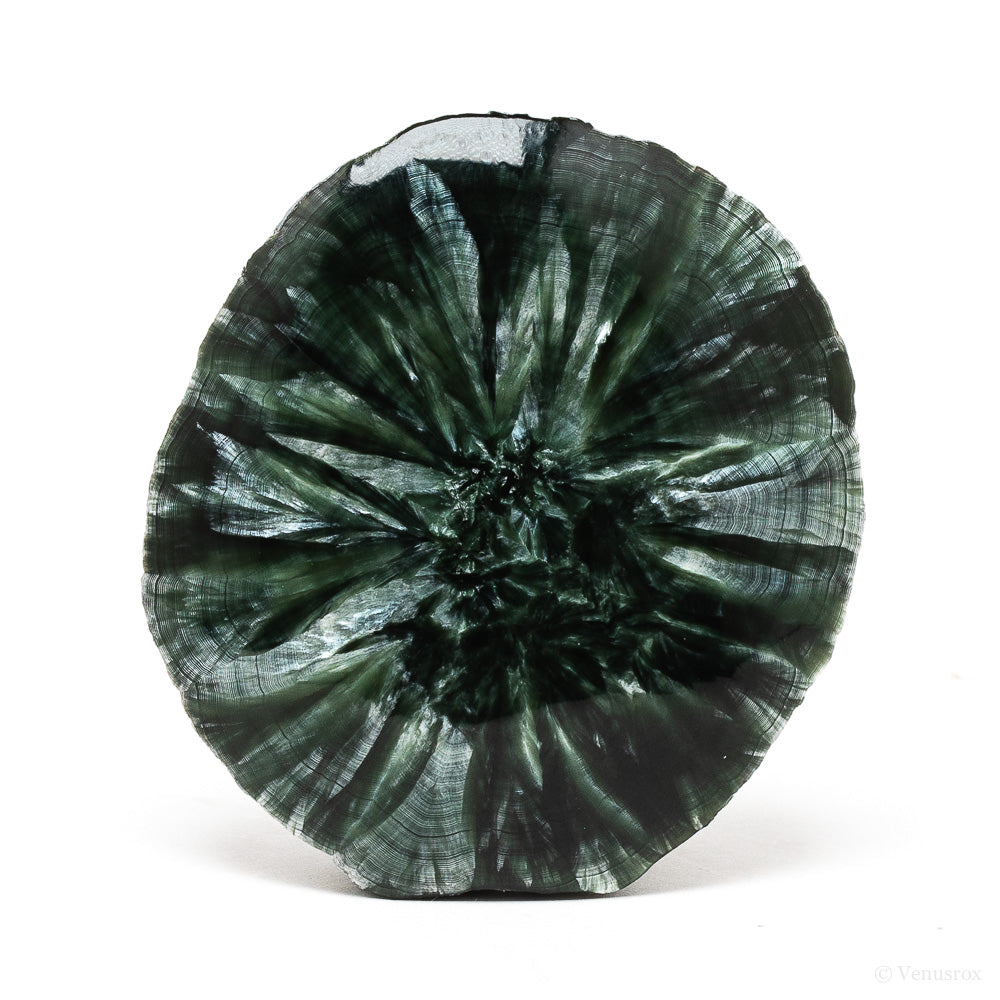 Seraphinite Polished/Natural Slice from the Korshunovskoye Iron Scary Deposit, Irkutskaya Oblast, Siberia, Russia | Venusrox