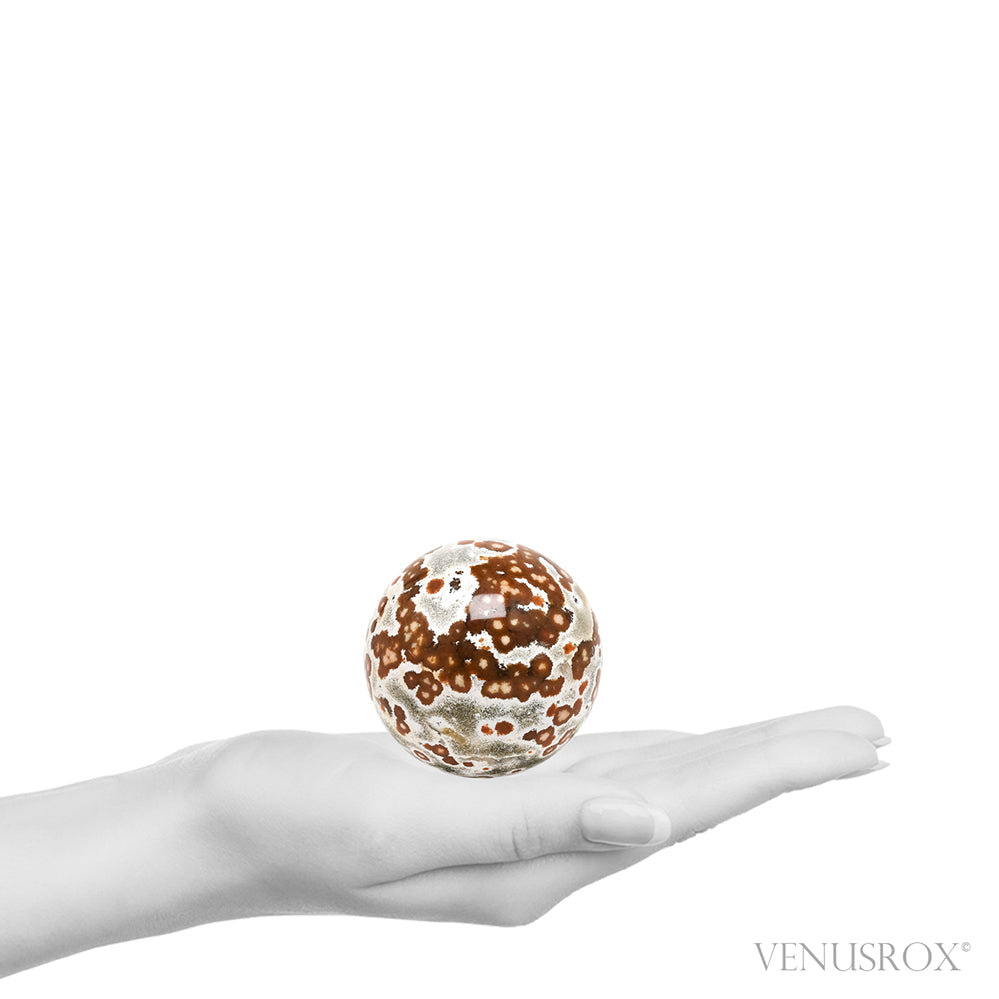 Ocean Jasper Part Polished/Part Natural Sphere from Madagascar | Venusrox