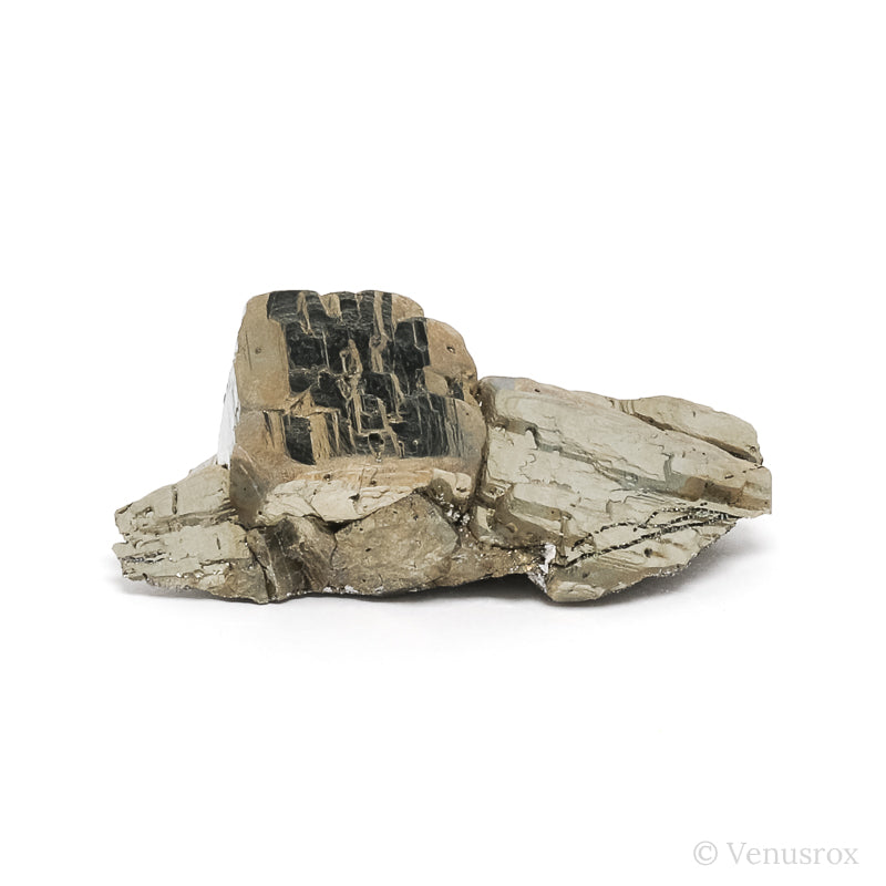 Pyrite Natural Cluster from the Huanzala Mine, Huallanca District, Dos de Mayo Province, Huánuco Department, Peru | Venusrox