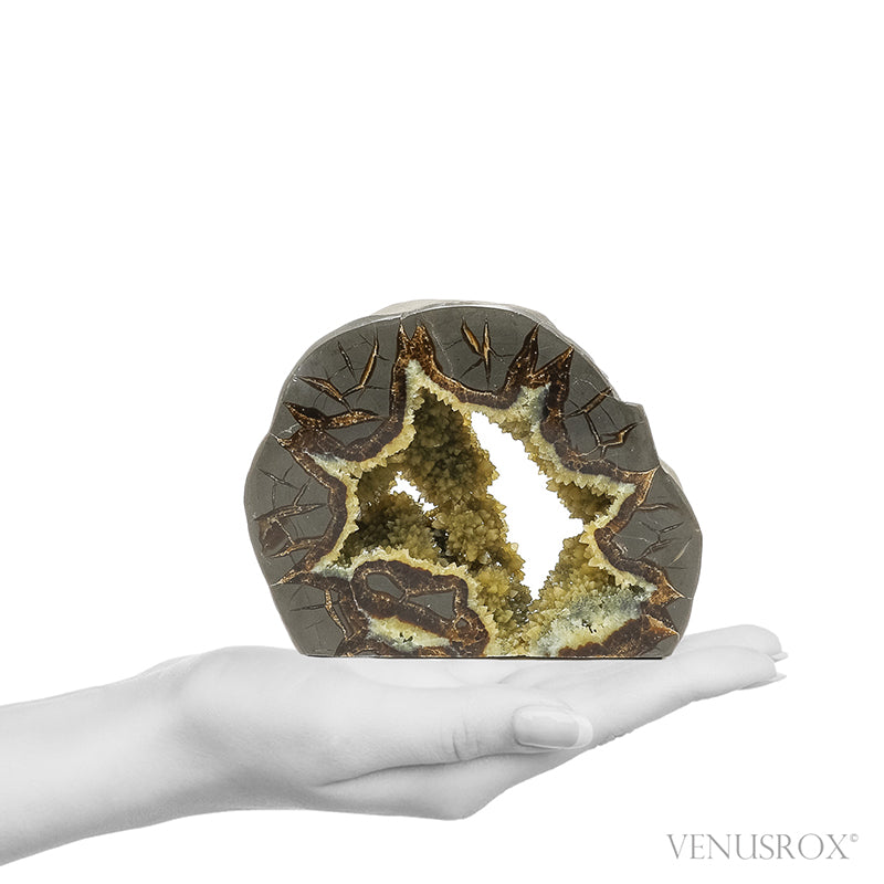 Septarian Geode Part Polished/Part Natural Slice from Utah, USA | Venusrox