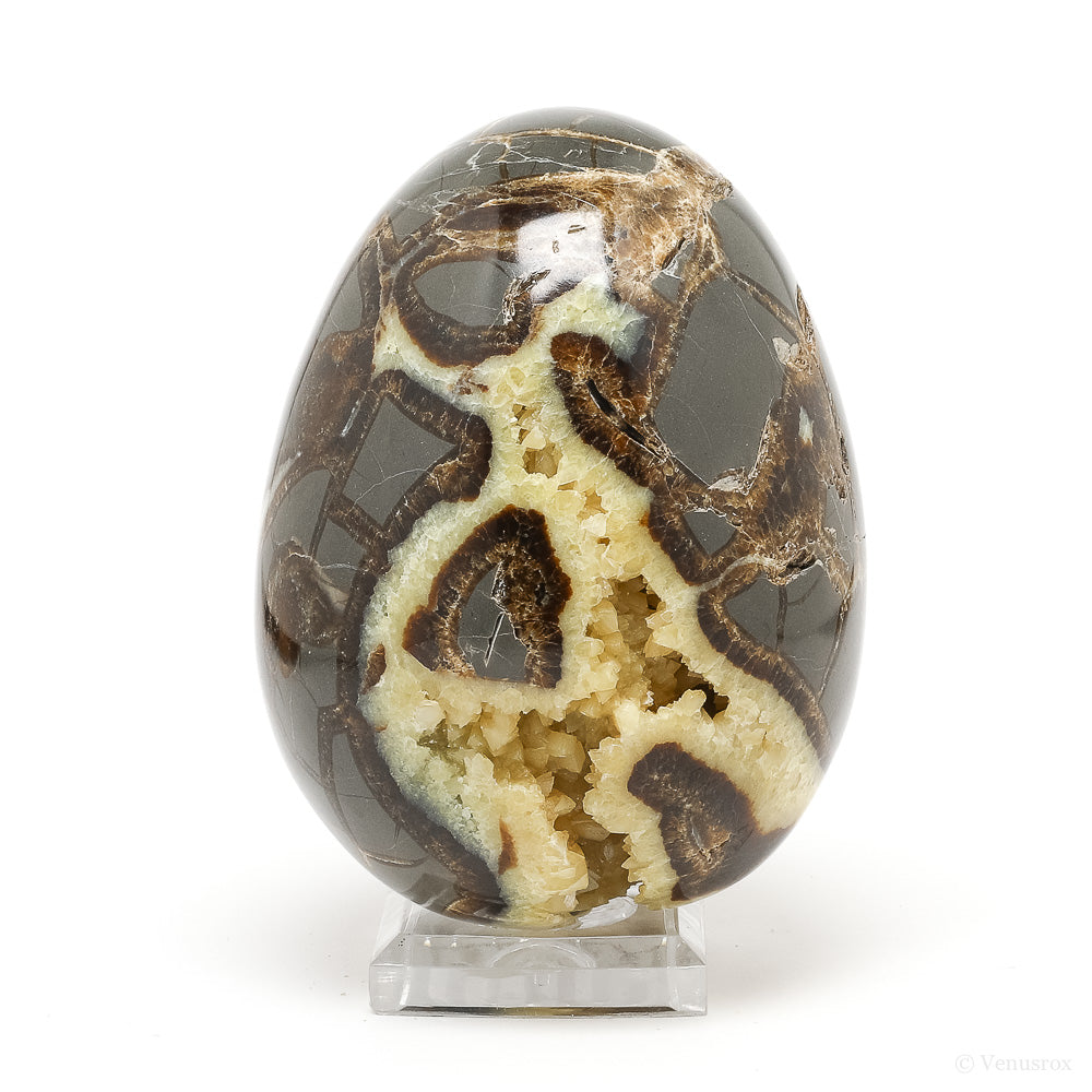 Septarian Geode Egg from Utah, USA | Venusrox