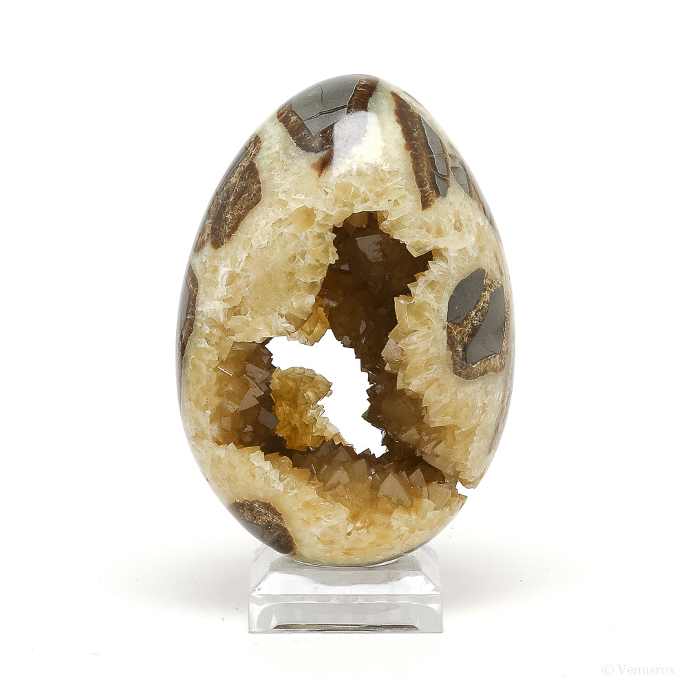 Septarian Geode Egg from Utah, USA | Venusrox