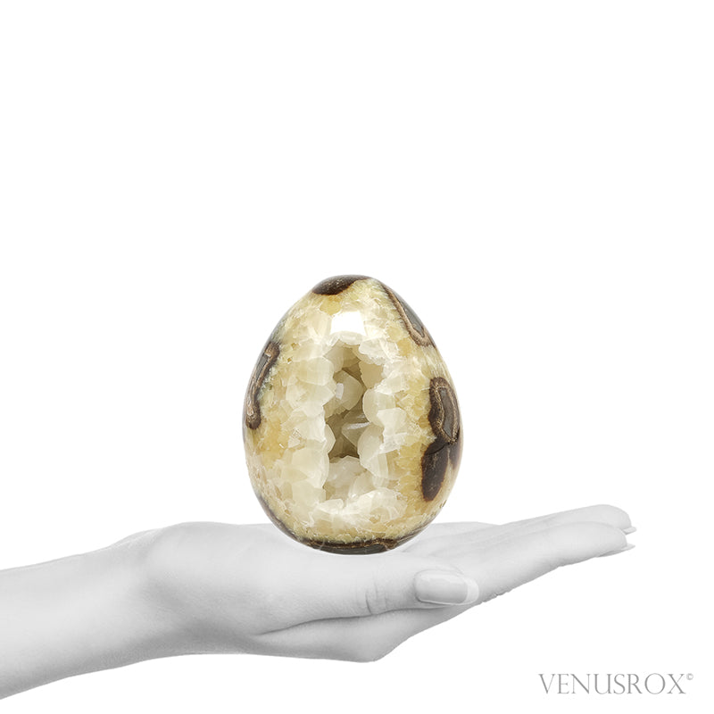Septarian Geode Egg from Utah, USA | Venusrox